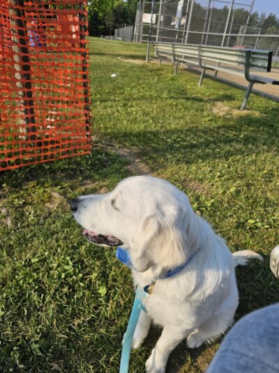 Chardon Township Park - Chardon, OH