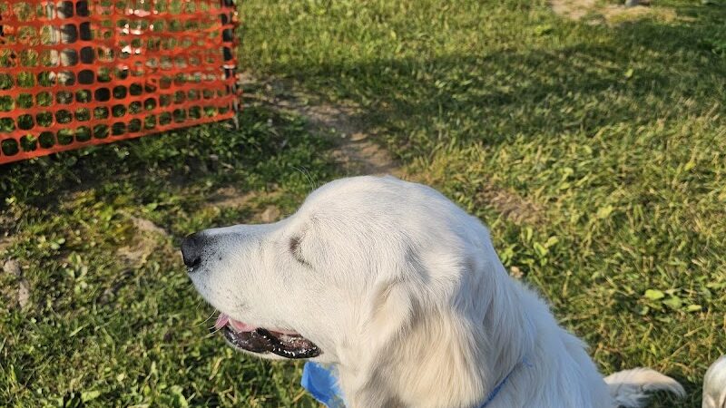 Chardon Township Park - Chardon, OH