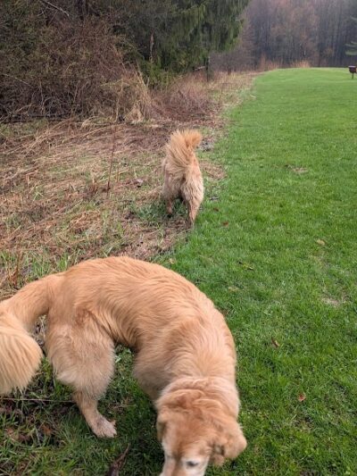 Chardon Township Park - Chardon, OH