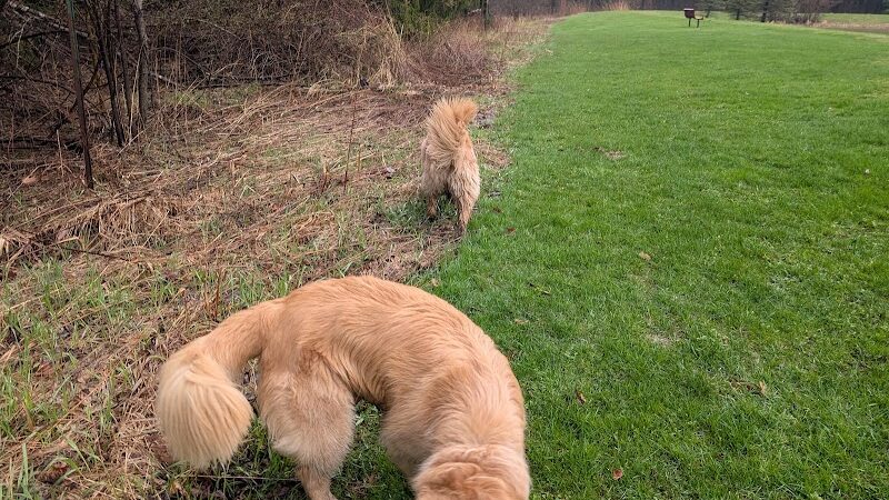 Chardon Township Park - Chardon, OH