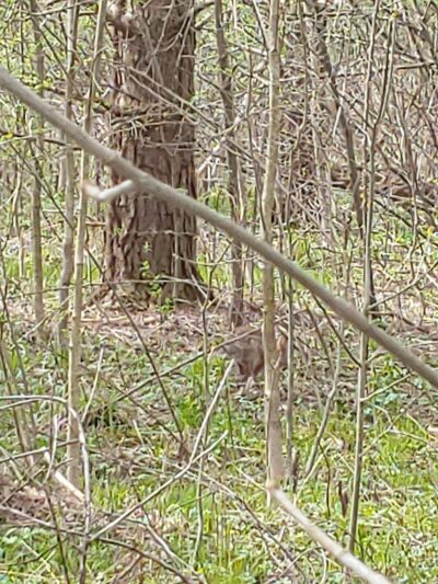 Chardon Township Park - Chardon, OH