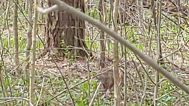Chardon Township Park - Chardon, OH