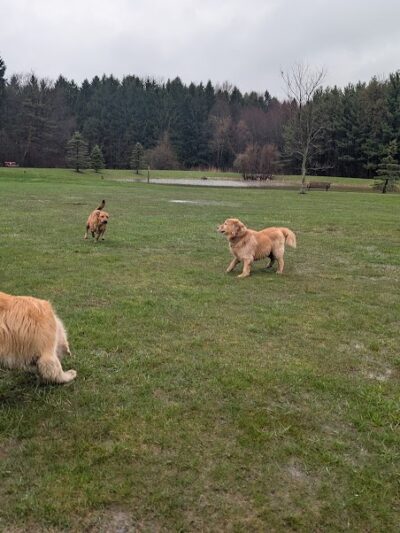 Chardon Township Park - Chardon, OH