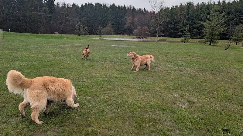 Chardon Township Park - Chardon, OH
