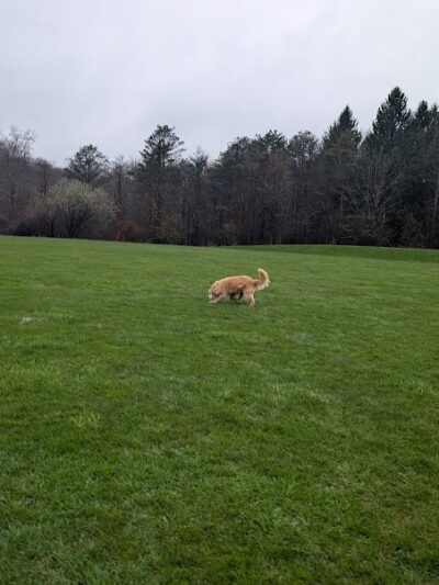 Chardon Township Park - Chardon, OH