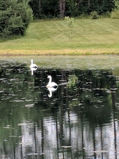 Claridon Recreation Park - Chardon, OH