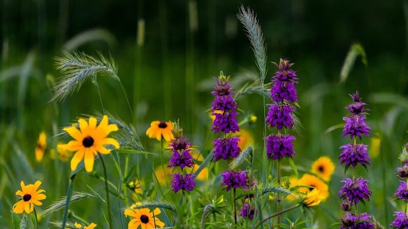 Geauga Park District - Chardon, OH