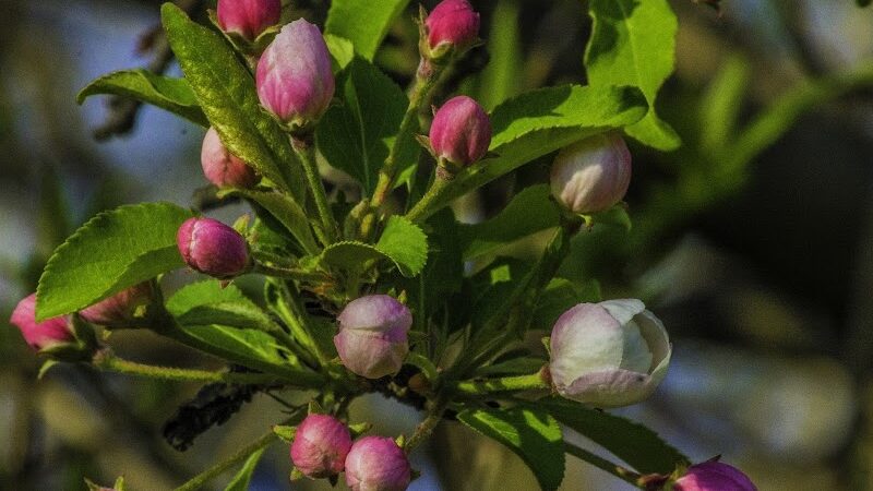 Geauga Park District - Chardon, OH