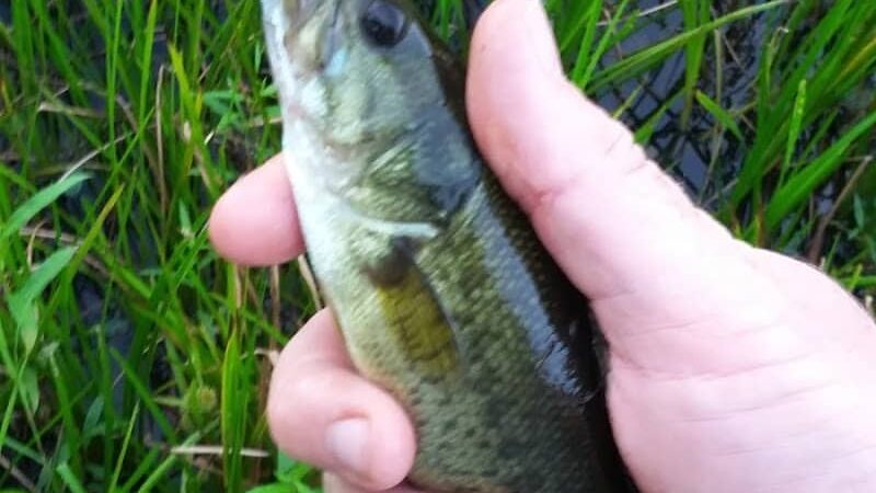 Geauga Park District - Chardon, OH