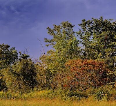 Munson Township Park - Chardon, OH