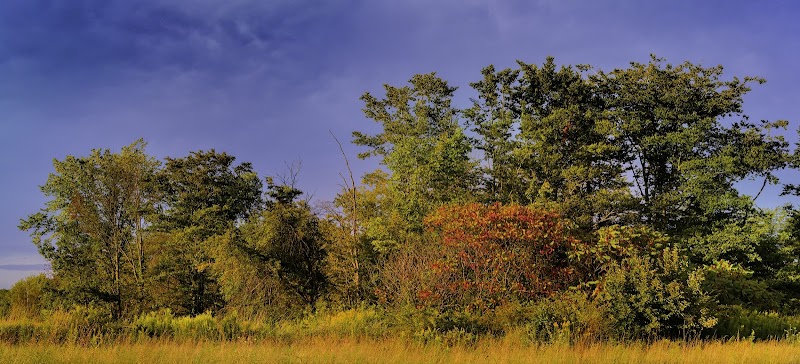 Munson Township Park - Chardon, OH