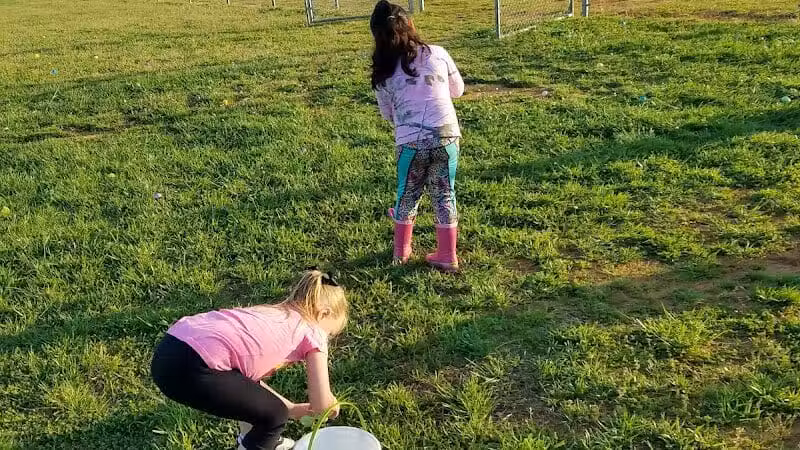 Shuffletown Dog Park - Charlotte, NC