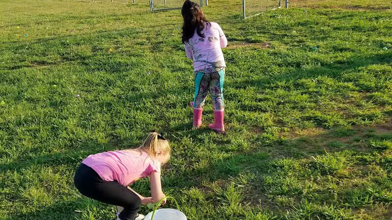 Shuffletown Dog Park - Charlotte, NC
