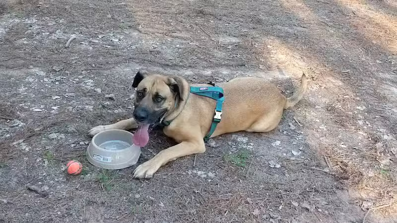 Shuffletown Dog Park - Charlotte, NC