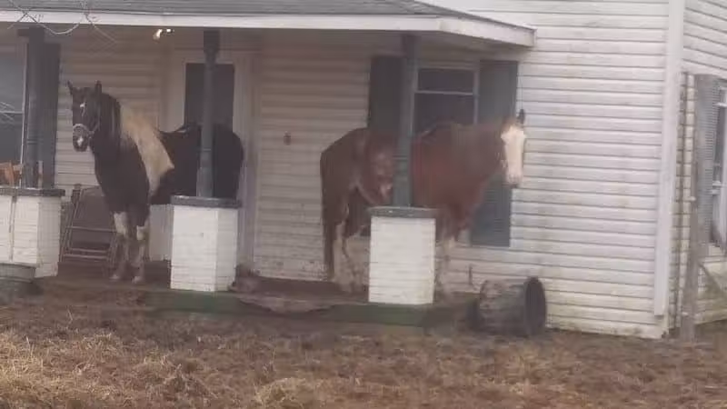 Cherry Fork - Cherry Fork, OH