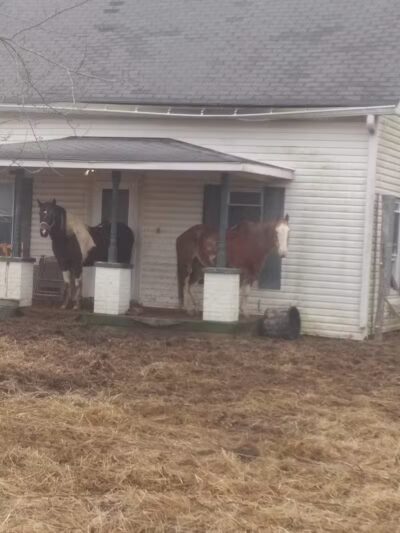 Cherry Fork - Cherry Fork, OH