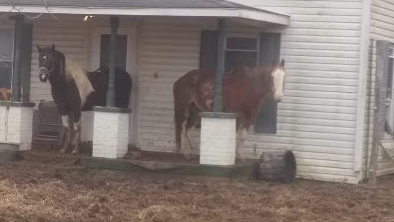 Cherry Fork - Cherry Fork, OH