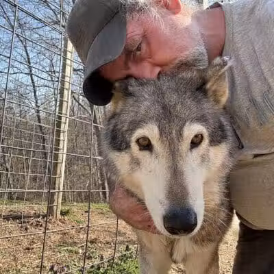 Southern Ohio Wolf Sanctuary - Chesapeake, OH