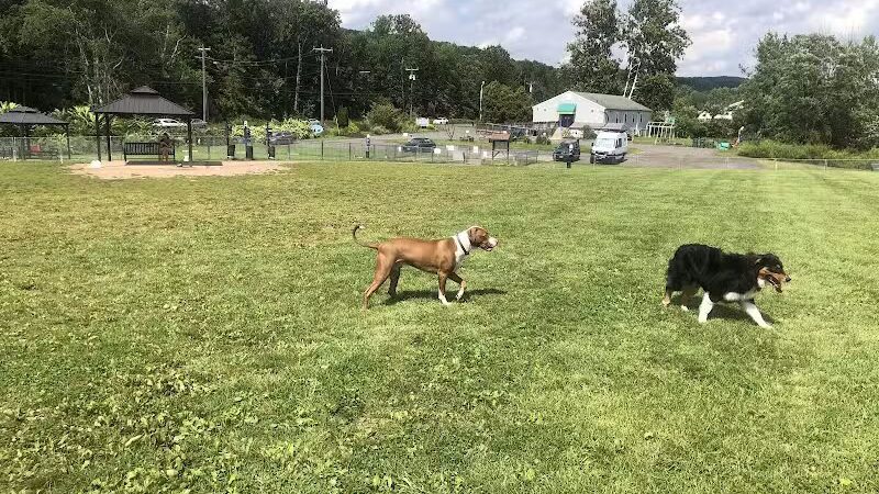 Cheshire Dog Park - Cheshire, CT