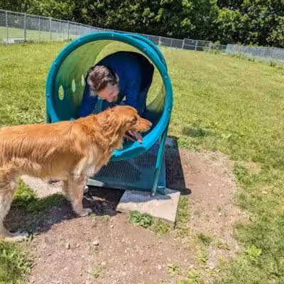 Cheshire Dog Park - Cheshire, CT
