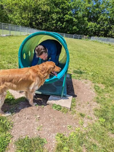 Cheshire Dog Park - Cheshire, CT