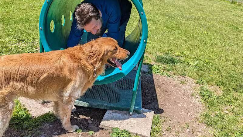 Cheshire Dog Park - Cheshire, CT