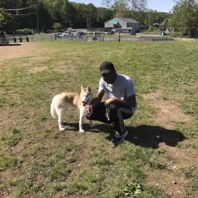 Cheshire Dog Park - Cheshire, CT