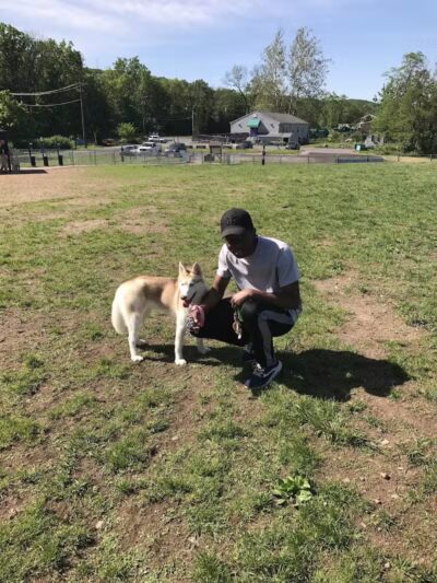 Cheshire Dog Park - Cheshire, CT