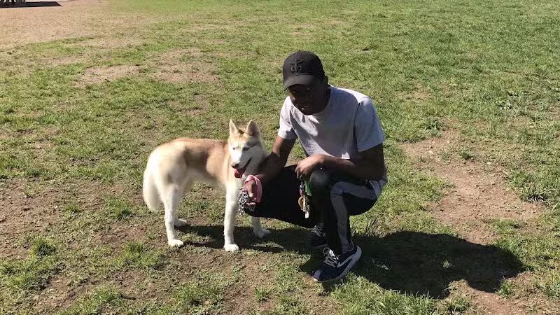 Cheshire Dog Park - Cheshire, CT