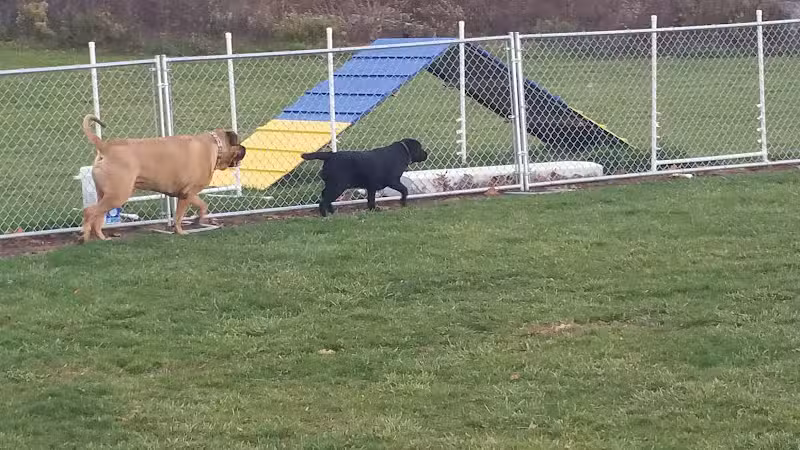 Cheshire Dog Park - Cheshire, CT