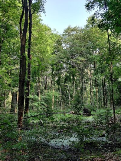 Sunnybrook Preserve - Chesterland, OH