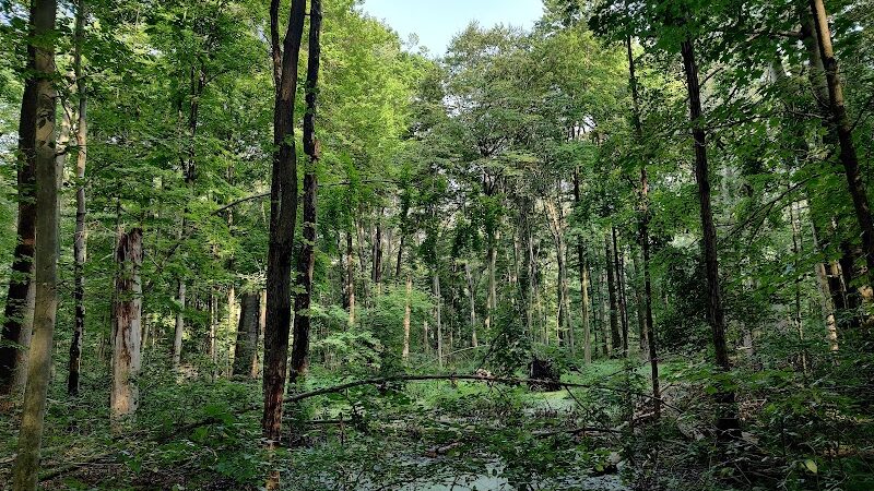 Sunnybrook Preserve - Chesterland, OH