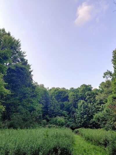 Sunnybrook Preserve - Chesterland, OH