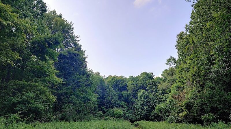 Sunnybrook Preserve - Chesterland, OH