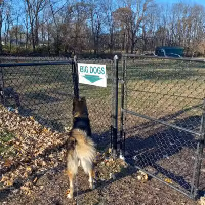 Walnut Dog Park - Chillicothe, IL