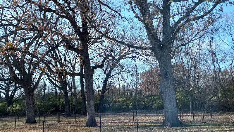 Walnut Dog Park - Chillicothe, IL