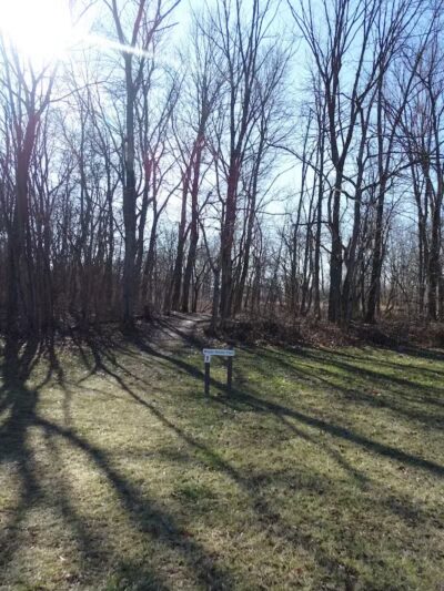 Maple Grove Prairie & Dog Play Area - Chillicothe, OH