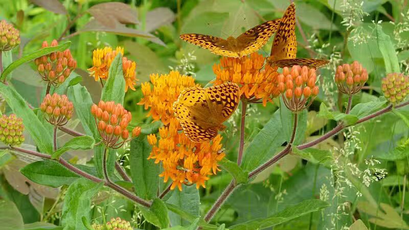 Ross County Park District - Chillicothe, OH