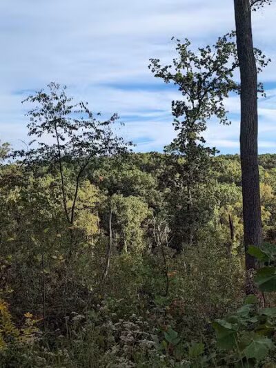 Tar Hollow State Park and Forest Logan Backpack Trail - Chillicothe, OH