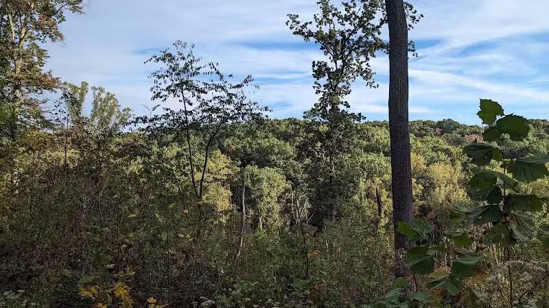 Tar Hollow State Park and Forest Logan Backpack Trail - Chillicothe, OH