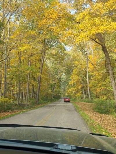Tar Hollow State Park and Forest Logan Backpack Trail - Chillicothe, OH