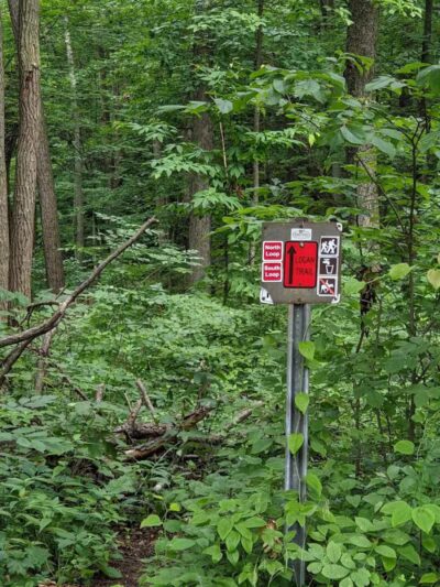 Tar Hollow State Park and Forest Logan Backpack Trail - Chillicothe, OH