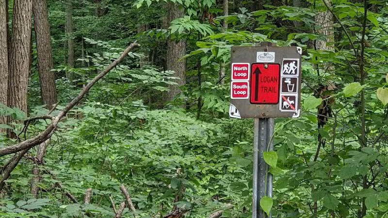 Tar Hollow State Park and Forest Logan Backpack Trail - Chillicothe, OH