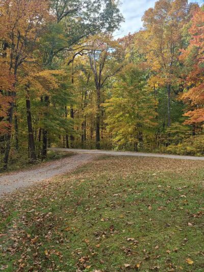 Tar Hollow State Park and Forest Logan Backpack Trail - Chillicothe, OH