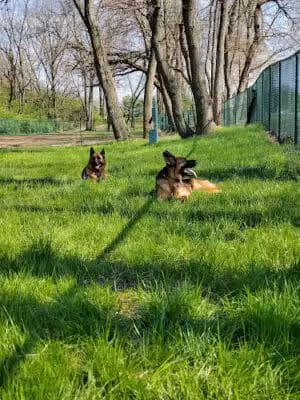 The Catherine and Holden Corzine Memorial Dog Park - Chillicothe, OH