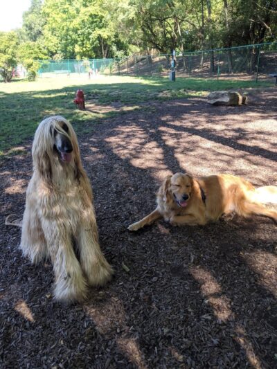 The Catherine and Holden Corzine Memorial Dog Park - Chillicothe, OH