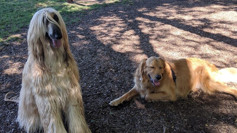 The Catherine and Holden Corzine Memorial Dog Park - Chillicothe, OH