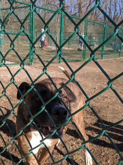 The Catherine and Holden Corzine Memorial Dog Park - Chillicothe, OH