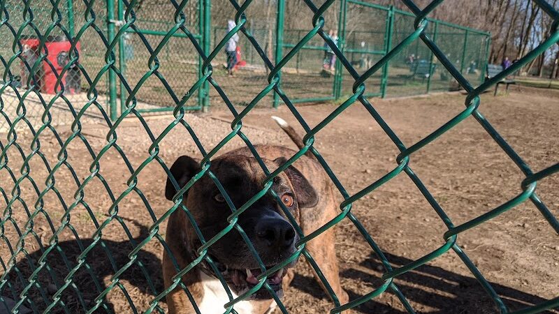 The Catherine and Holden Corzine Memorial Dog Park - Chillicothe, OH