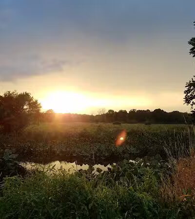 Chippewa Inlet Trailhead-South - Chippewa Lake, OH